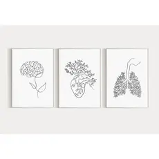 Quadro Decorativo Anatomia Humana, decoração casa Quadro Decorativo Medicina Minimalista tamanho grande Decoração para sala casa cozinha quarto Quadro decorativo Corpo Humano abstrata Moderno Decoração Corpo Humano Retro arte #12