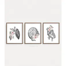 Quadro Decorativo Anatomia Humana, decoração casa Quadro Decorativo Medicina Minimalista tamanho grande Decoração para sala casa cozinha quarto Quadro decorativo Corpo Humano abstrata Moderno Decoração Corpo Humano Retro arte #25