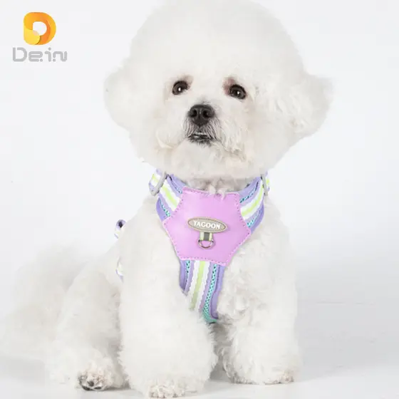 Colete Peitoral com Guia para Cães Pequeno e Médio Porte – Segurança e Conforto