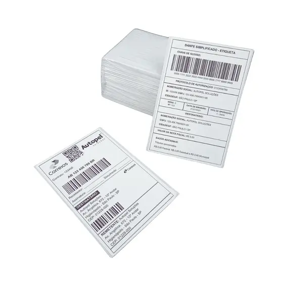 Etiquetas Termica Branca Adesiva 10 x 15 E-commerce Envios Zebra Elgin Resma