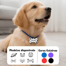 Plaquinha de Identificação Pet Personalizado + Coleira Personalizada para Cachorro Gato
