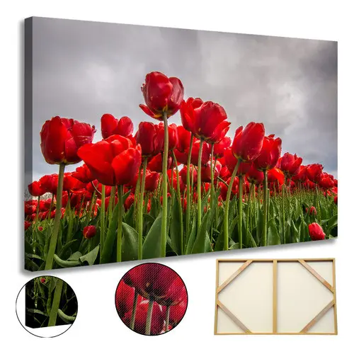 Quadro Decorativo Tulipas 60x90 Tela Canvas Alta Definição