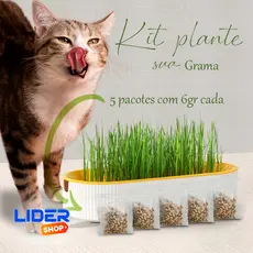 Kit Plante Sua Grama Natural para Pets – Pote Colorido + Sementes Comestíveis Gatos & Cães