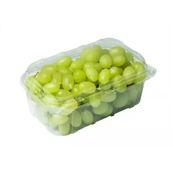 F114 POTE COM FURO PARA FRUTAS 500G  - FIBRAFORM - CAIXA COM 200UN