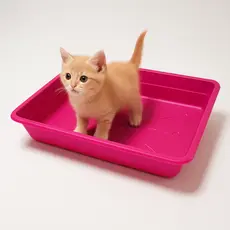 Caixa de Areia para Gato Grande - Kit Caixa Areia Gato