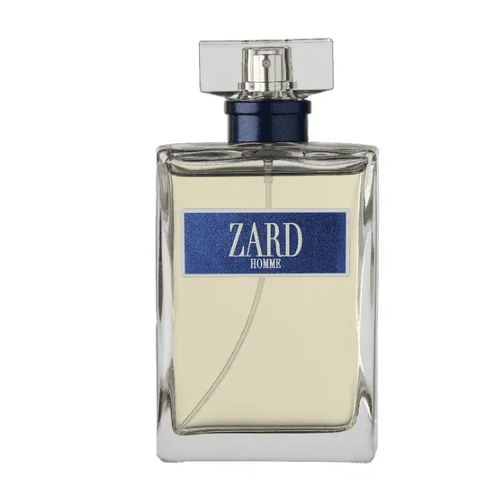 Perfume Masculino ZARD HOMME Primacial