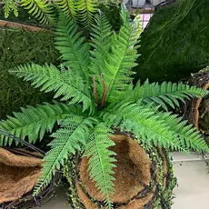 55CM Samambaia Escura Artificial De 12 Galhos