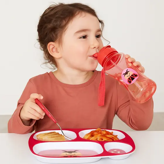 PRATO INFANTIL COM DIVISÓRIA + GARRAFA INFANTIL - JOANINHA CORUJA - DUAS PEÇAS