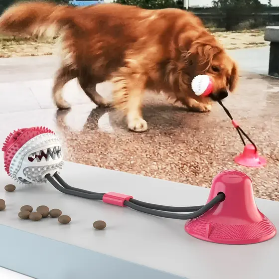 Bola de Brinquedo Interativa Molar Slow Food com Vazamento para Cachorro Golden Retriever e Labrador