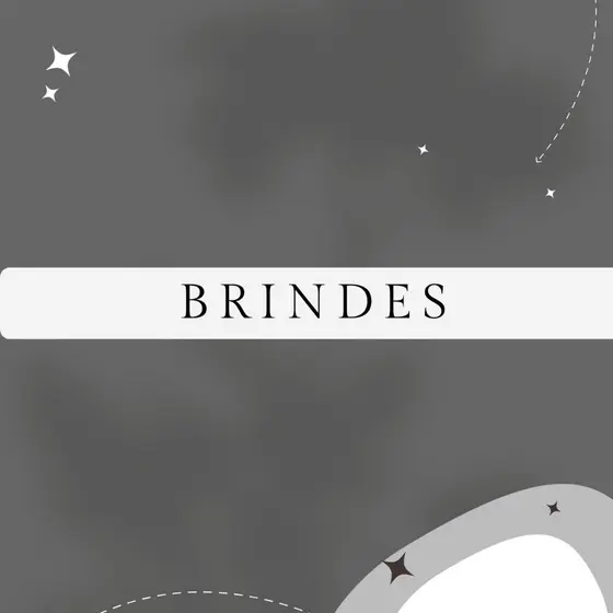 Brindes Sortidos
