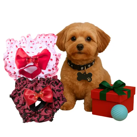 kit 2 Calcinha Higiênicas + Coleira +Bola Interativa Cães e Gatos