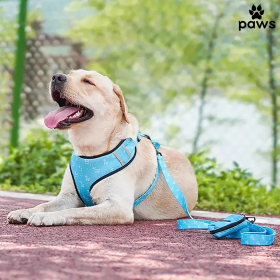 Kit Coleira Peitoral Guia Bandana Gravata Porta Cata Caca Para Cachorro