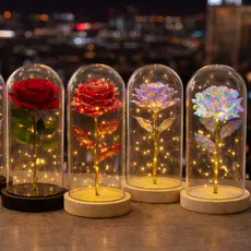 Luminária Cúpula Flor Rosa Encantada com LED – Presente Dia das Mães | A Bela e a Fera / Pequeno Príncipe