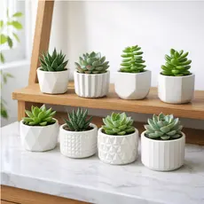 Kit 8 Vaso Decorativo de Gesso Texturizado Para Suculentas, Cactus e Plantas Artificiais Branco