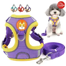 Coleira em Formato de Colete para Cães e Gatos – Conjunto com Guia Resistente