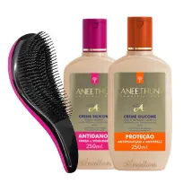 ANEETHUN KIT CREME SILICONE + ESCOVA PROTEÇÃO E ANTIDANOS 250ml