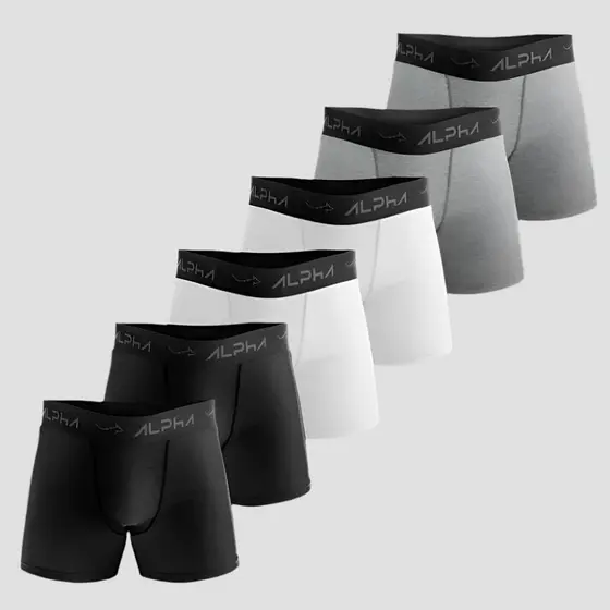 Kit 6 Cuecas Cotton Masculinas Dry Academia - Alpha Co