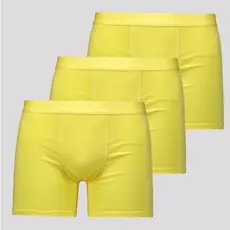 Kit de 3 Cuecas Boxer Lupo Elastic Soft Amarela