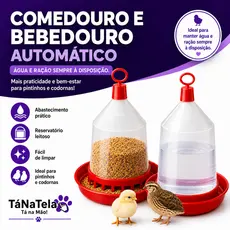 Kit Comedouro e Bebedouro 800ml para Codorna e Pintinho Come/Bebe Aves Resina Plástica Resistente