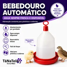 Bebedouro 800ml para Codorna e Pintinho Aves Resina Plástica Resistente