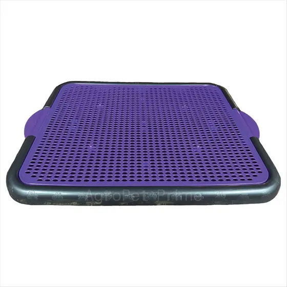 Bandeja Sanitária Para Cães Pipi Center Roxo Neon