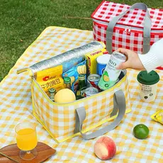Bolsa Térmica Portátil Cesta Piquenique Praia Camping Retrátil 13Litros