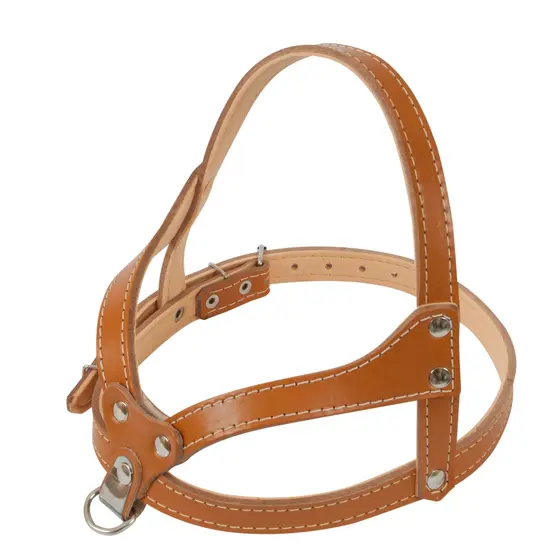 Peitoral Coleira Couro Premium nº 4 Cachorro Cão Pet