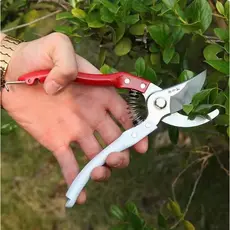 Tesoura de Poda Flores Ornamentais Jardim Corte Preciso Ergonômica Para Plantas e Flores Doméstica Jardinagem Premium