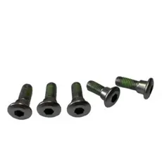 Parafusos de Fixação do Disco de Freio(Titan 125, 150 e 160) - 5 parafusos originais