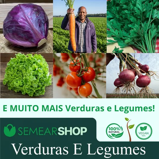 Kit 30 Variedades Sementes De Verduras E Legumes Horta