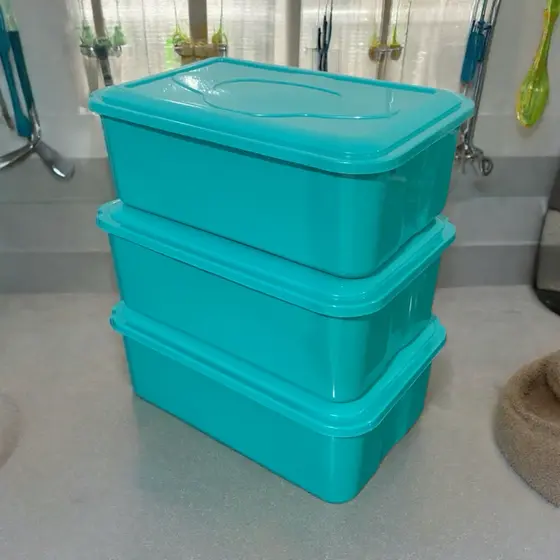 Kit 3 Potes 4 litros Retangular Plástico Reutilizável Orgazinar e Armazenar Alimentos