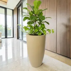Vaso Decorativo Ibiza Bojo Slim Luxo Grande 50x30 cm para Plantas Marmorizado Polido Moderno