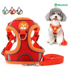 Conjunto Premium de Coleira Peitoral e Guia para Cães e Gatos – Ajustável e Seguro
