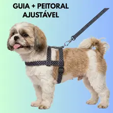 Peitoral Ajustável para Cachorro Pequeno com Guia de 1,20mt