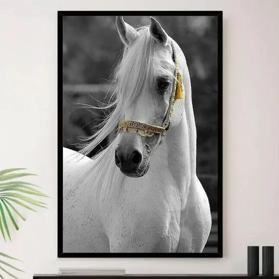 Quadro Cavalo Branco Lindo Sala Quarto Decorativo
