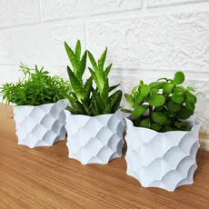 kit Vasos Decorativos com 3 Cachepot para Suculentas Decoração Elegante para Sala