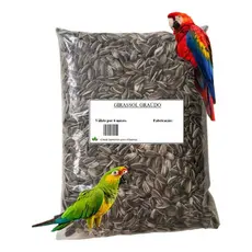 Semente 5 Kg Girassol Grande Pássaros Papagaio Limpa Graudo