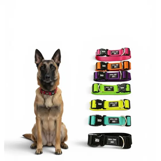 coleira para cachorro regulável resistente premium  pet ajustavel  pequeno medio grande porte