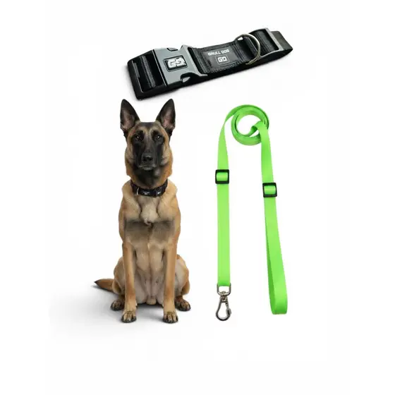 kit coleira regulável + guia para passeio mãos livres para cachorro resistente reforçada