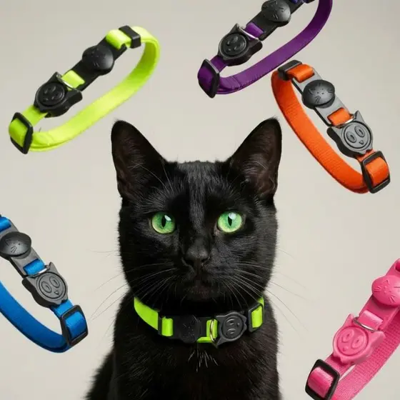coleira para gatos filhotes ou adultos com ajuste de tamanho confortável todos os tipos de gato