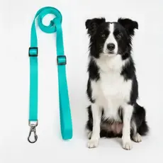 Guia para cachorro material premium 2 metros com regulagem de tamanho mãos livres para peitoral Pet