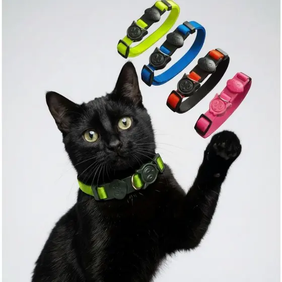 Coleira para gato confortável premium com ajuste de tamanho pet e fecho que se solta ao enganchar