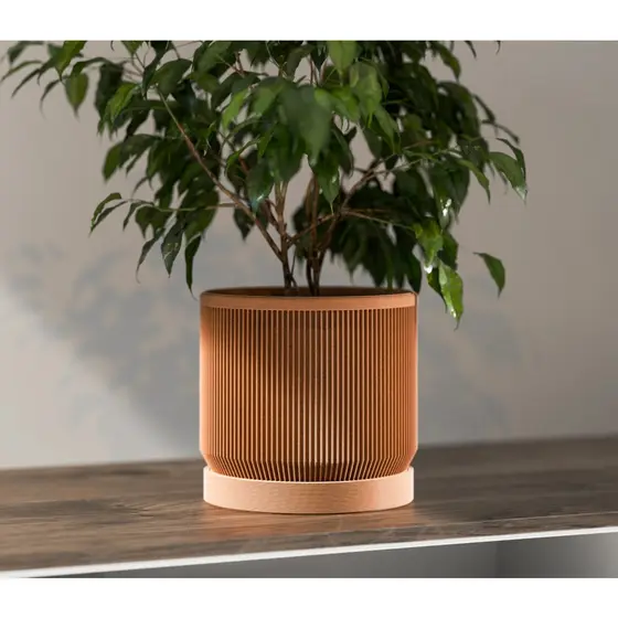 🔥 Kit com 2 Vasos Redondos – Elegância em Dobro para Sua Decoração! 🌿✨