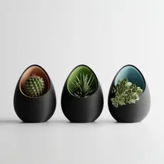 Vaso Decorativo em Formato de Ovo para Suculentas e Cactos
