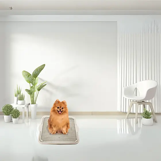 Xixi Dog Tapetinho Sanitário Higiênico lavável Branco/ bege para cães good pads envio me 24 horas