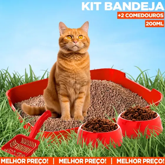 Kit de Gato Bandeja Caixa de Granulado Sanitário Pazinha Cata Caca Comedouro Bebedouro Gato Cães Pet
