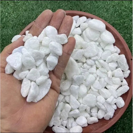 Pedra Dolomita Branca Seixo Decorativa Nº 1 para Aquarios Vasos Jardins Ornamentais
