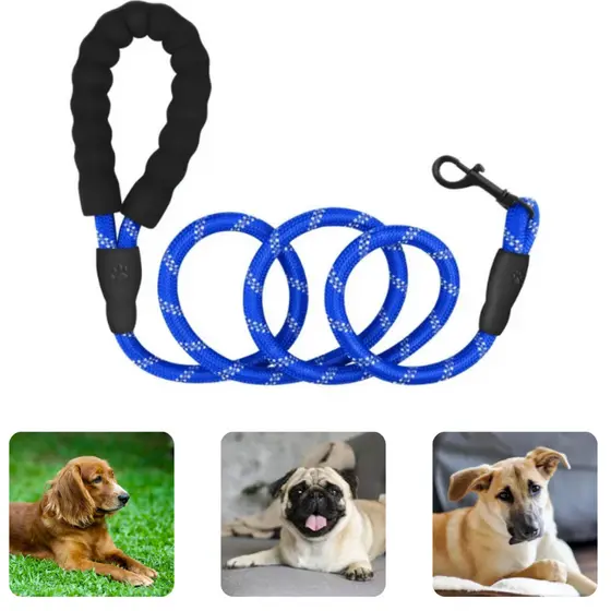 Coleira com Guia para Cachorro Corda Reforçada Antifuga Passeio Seguro Porte Pequeno Médio Grande