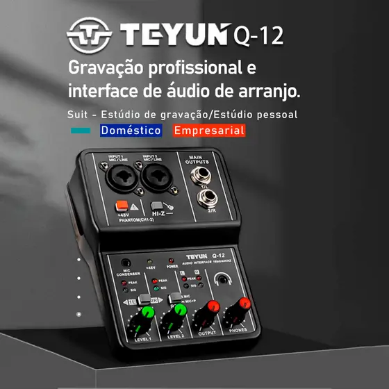 TEYUN Q-12 Mesa Mixer Placa de Som 2 Canais Interface de Áudio Mini Mesa de Som Mixer Profissional Para Produção Musical