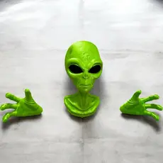 Busto Et Extraterrestre Verde De Parede Criativa e Divertida Impressão Alien Alienígena sci-fi Greys Realistico